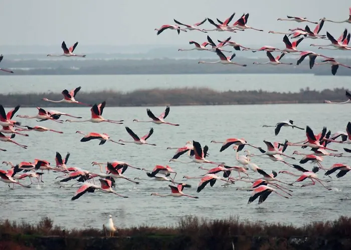 Cortina 2-34 Feriehus Lido di Pomposa